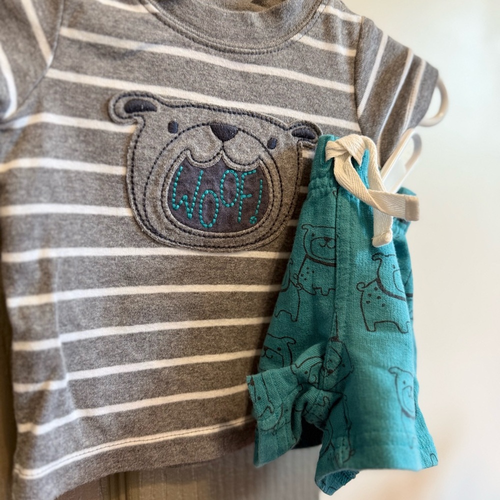 Striped Gray Dog T-Shirt and Teal Shorts Set